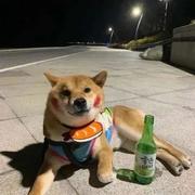 float231的个人资料头像