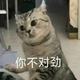 Biubiubiu897 · 宋PLUS DM车主·车龄2年头像