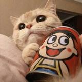 即興發揮头像