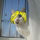 dinner的个人资料头像