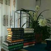 倔强的核桃的个人资料头像