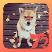 WHQ423的个人资料头像