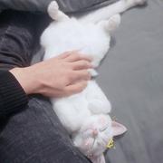 王子922的个人资料头像