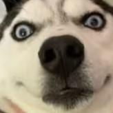 用户2440481812315的个人资料头像