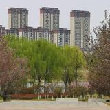何胜龙头像