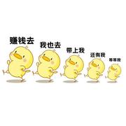 TTo的个人资料头像