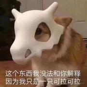 困了就早睡的个人资料头像