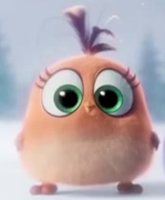 Young小胖的个人资料头像