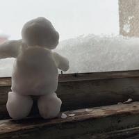 买车萌新求指教头像