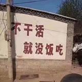 运筹帷幄葡萄tLP头像