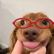 时时时天晴的个人资料头像