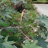 刘海森2735头像