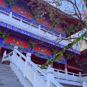 山川爱追剧A头像