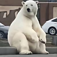 二四的冬眠头像