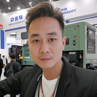 西去的骑士头像