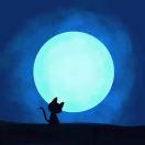 whirligig的个人资料头像