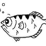 solaya的个人资料头像