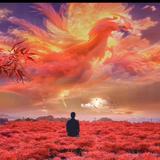 格桑花🌸头像
