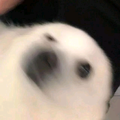 打扰一下头像