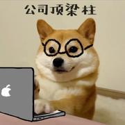 用户8398219196702的个人资料头像
