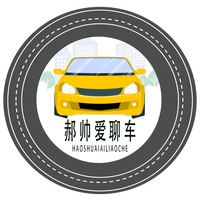 郝帅爱聊车头像