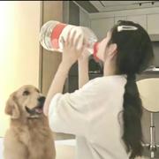 用户9208557265529的个人资料头像