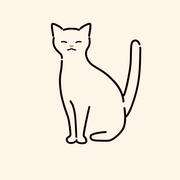 白兰猫的个人资料头像