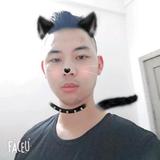 灰太狼天上飞头像