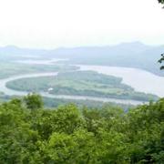 不会游的鱼的个人资料头像