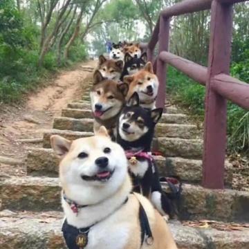 我是唐中士头像