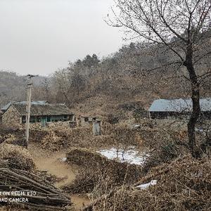 雪花存生头像