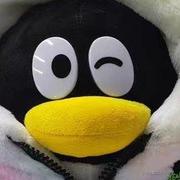 chichichi清野的个人资料头像