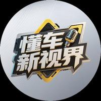 懂车新视界头像