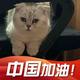 自在的xian头像