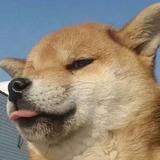 杨先森头像