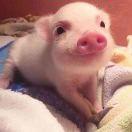 祝你爆炸的个人资料头像