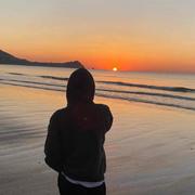 枳昂一鱼的个人资料头像