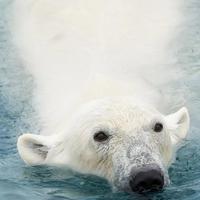 我有江小白你有故事吗头像