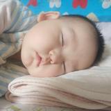 小山药鱼子头像