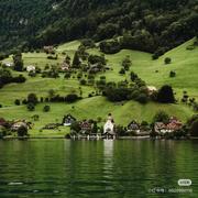 草莓养乐多02的个人资料头像