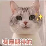 用户55676273822头像