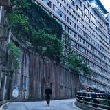 何晨狄viktor头像