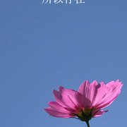 飞雪飘逸的个人资料头像