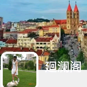 廻澜阁头像