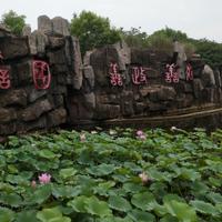 在他乡140086930头像