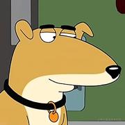 淮屿的个人资料头像