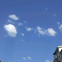 优雅百香果l2W头像