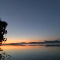 杀我别用感情刀335头像