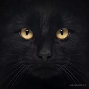 F0F0F0的个人资料头像