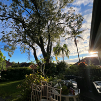 她说不喜欢民谣头像